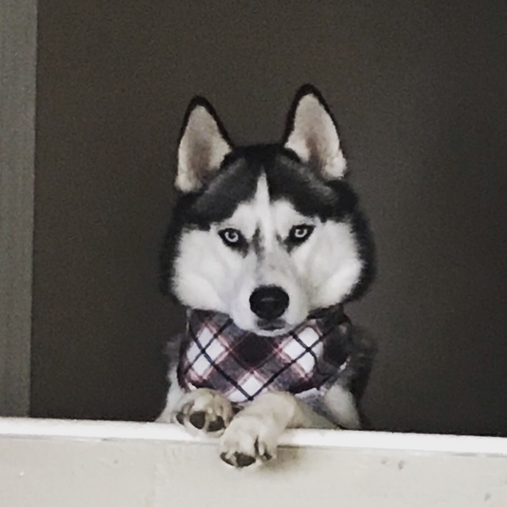 Meet your Posher, Nichole